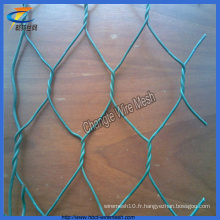 Mesh métallisé en PVC revêtu de gabion